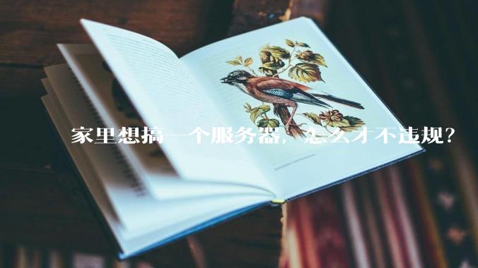 家里想搞一个服务器，怎么才不违规？