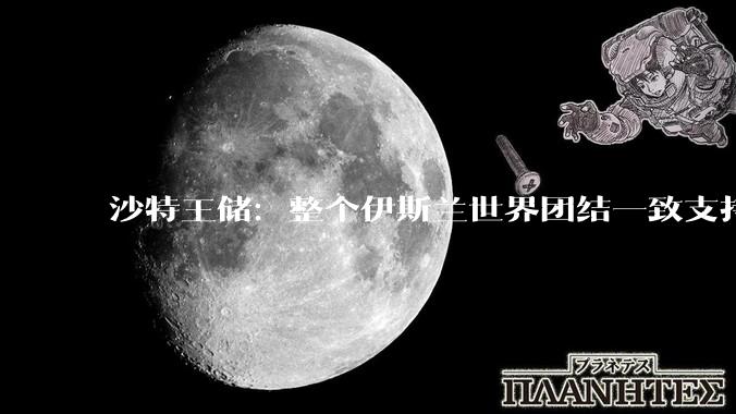 沙特王储：整个伊斯兰世界团结一致支持伊朗，你怎么看？