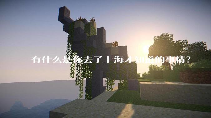 有什么是你去了上海才知道的事情？