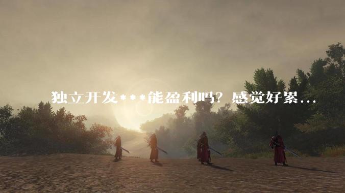 独立开发***能盈利吗？感觉好累...
